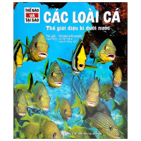Image of Các loài cá Thế giới kì diệu dưới nước